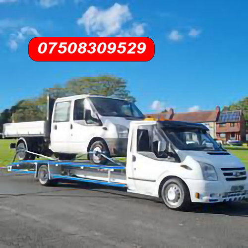 Car vehicle delivery - /,