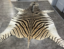Equus Burcell Large Zebra skin rug
