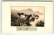 New Year Greetings Postcard