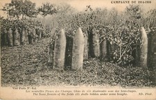 WW1 SHELLS HIDDEN UNDER BRANCHES - POSTCARD