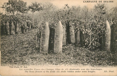 Ww1 shells hidden under - shells,