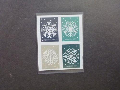 Usa 2024 winter whimsy - 2024,