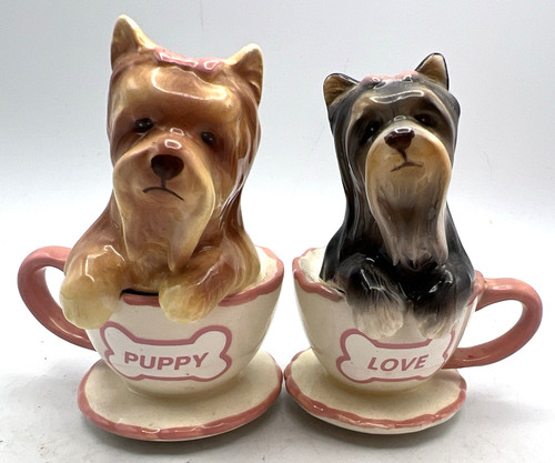 Yorkie puppies teacup - puppies, in