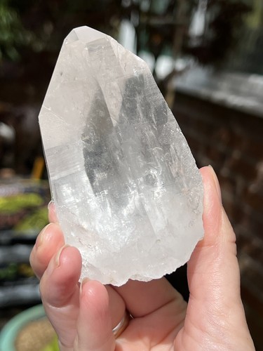 Large lemurian seed - lemurian, clear