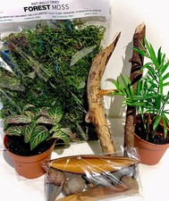 LIVING Bioactive Tropical