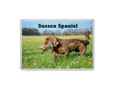 Sussex spaniel dog large - sussex,