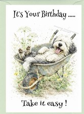 Old English Sheepdog Birthday
