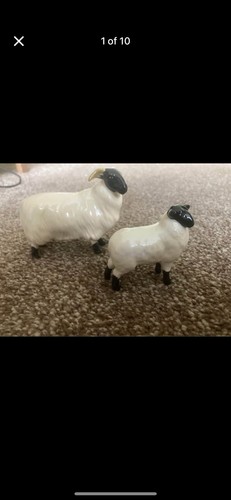 Beswick sheep - beswick,