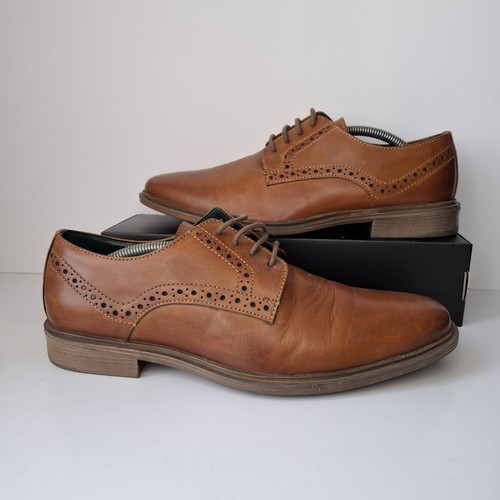 Racing green campbell tan - racing,