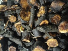 Comfrey Bocking 14  Root Cuttings 5 x 1-2cm Pieces - BUY ONE GET ONE FREE