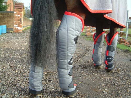 Polypads leg protectors - polypads,