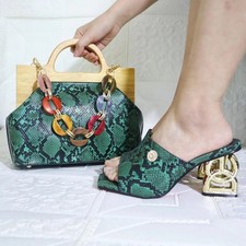 Matching Women Shoe and Bag