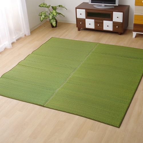 Ikehiko japanese rush grass - ikehiko,
