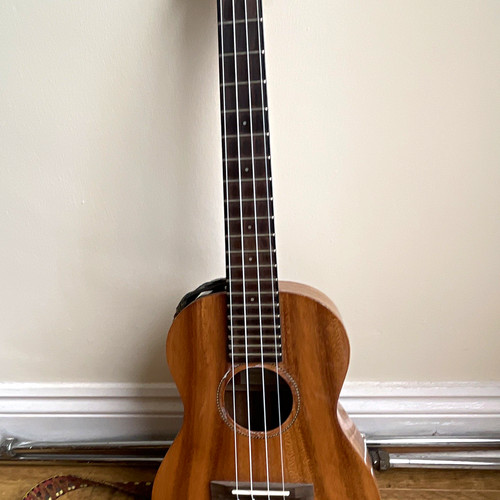 Pono tenor solid acacia
