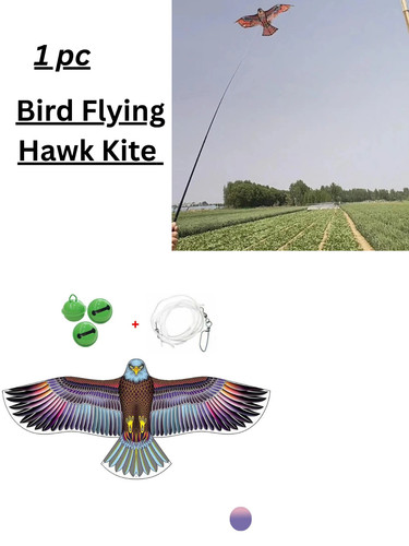 Anti bird flying hawk - flying,