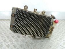 2004 POLARIS PREDATOR 500  Radiator