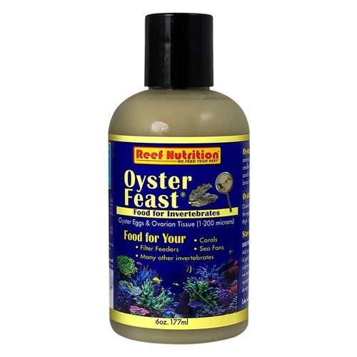 Oyster feast egg - feast, tissue