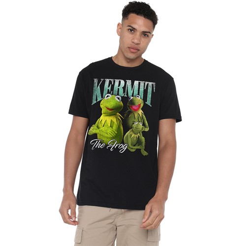 Disney the muppets kermit - the,
