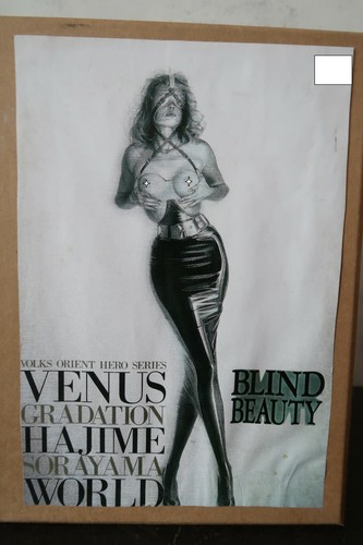 Hajime sorayama blind - sorayama,