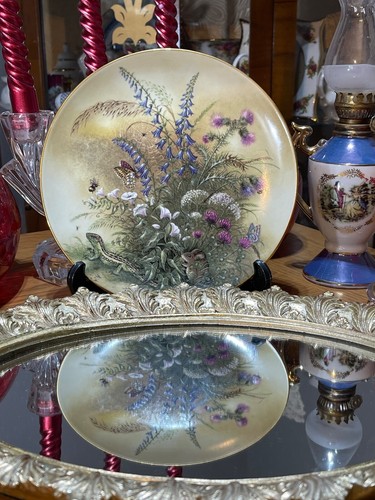 Collectable plate austria - collectable,