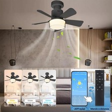 LED Ceiling Fan Modern with
