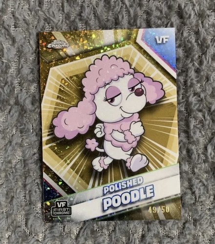 Polish poodle gold mini - polish,