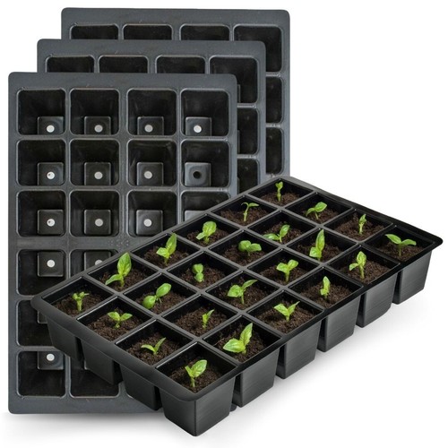 Cell full size seed - cell,