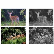 C-Outdoor Infrared Camera With