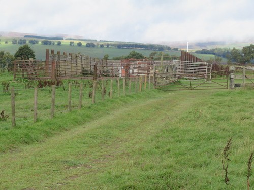 Photo empty silage pit - 'pit', at