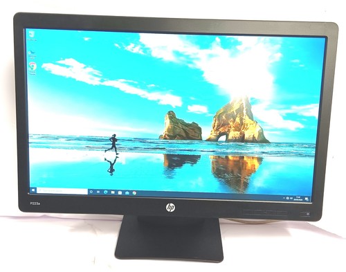 Prodisplay p223a inch - 22”,