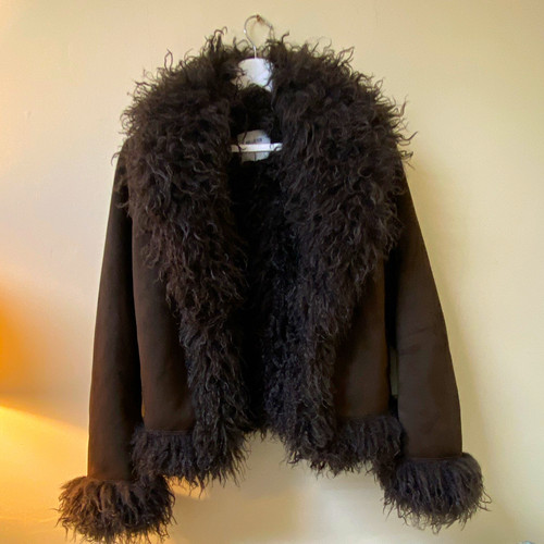 Hollister women brown - hollister,