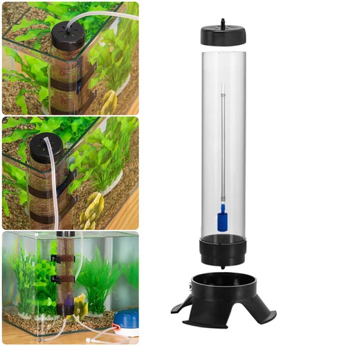 For fish tank - tank, shrimp
