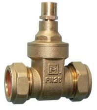 22mm DZR Lockshield Gate Valve