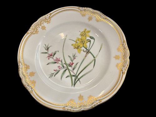 Spode stafford flowers plate - stafford,