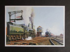 9.20" x 6.20"  MALCOLM ROOT