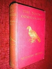 The Young Ornithologist by W