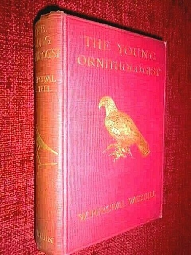 The young ornithologist w - the,