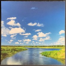 USA - Florida, Riverbank