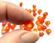 Orange flower murrini for