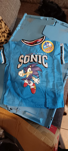Sonic the - sonic,