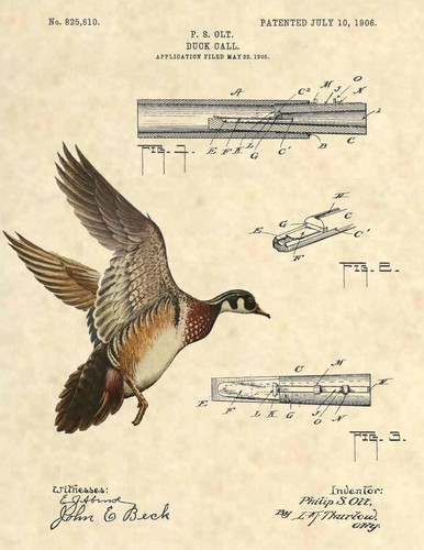 Duck call - call,