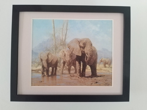 David shepherd print - david,