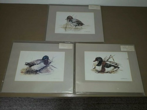 Joel kirk b1948 duck - 3,