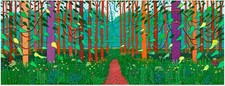 David hockney arrival - arrival, of