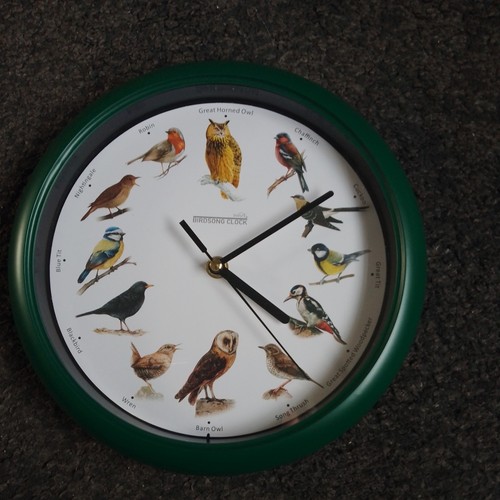 Jml starlyf birdsong wall - starlyf,
