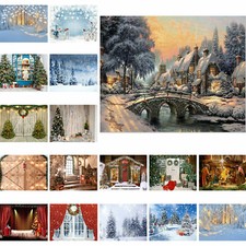 🔥2025⭐Winter Snow Scene