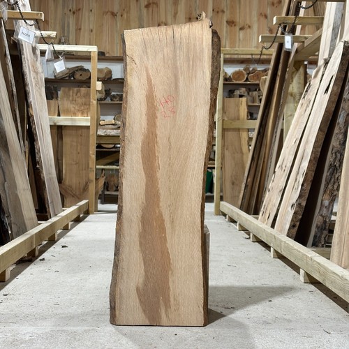 Holm oak plank board - plank, waney
