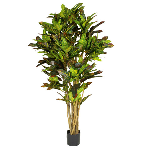 150cm artificial croton - artificial,