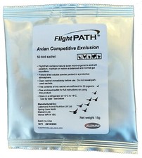 FlightPATH - high grade Pigeon
