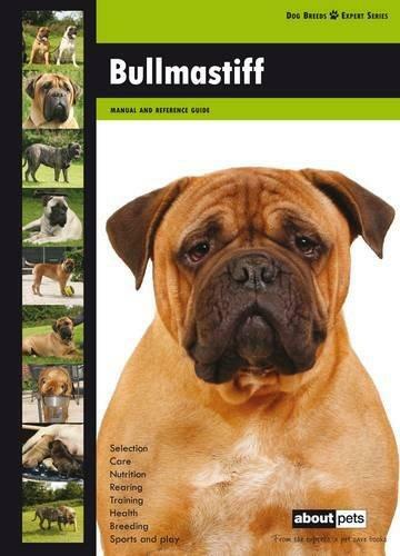 Bullmastiff dog breed expert - bullmastiff:,
